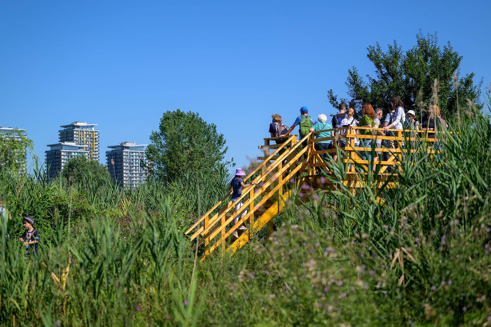 parcul national vacaresti